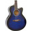 Ibanez AEL 20 E TB elektricko-akustick kytara