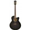 Ibanez AEL 20 E TK elektricko-akustick kytara