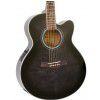 Ibanez AEL 20 E TK elektricko-akustick kytara