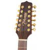 Takamine EG345C elektricko-akustick kytara