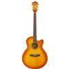 Ibanez AEL 20 E VV elektricko-akustick kytara