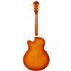 Ibanez AEL 20 E VV elektricko-akustick kytara