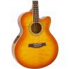 Ibanez AEL 20 E VV elektricko-akustick kytara