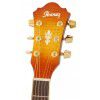 Ibanez AEL 20 E VV elektricko-akustick kytara