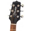 Takamine EG260C TBL  elektricko-akustick kytara
