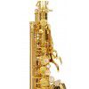 Selmer Paris Serie III GP altov saxofon