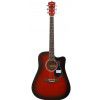 T.Burton Greengo W C TRD akustick� kytara