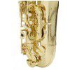 Roy Benson TS-302 tenorov saxofon