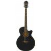 Ibanez AEG8E BK elektricko-akustick kytara