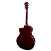 T.Burton Riverside J C N akustická kytara T.Burton Riverside J C N akustická kytara