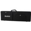 Ibanez SR5 XXV VNF Soundgear Premium basov kytara
