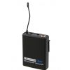 LD Systems WS ECO2x2 BPH bezdrtov mikrofon