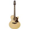 Takamine EG523SC 12 elektricko-akustick kytara
