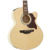 Takamine EG523SC 12 elektricko-akustick kytara