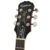 Epiphone Les Paul Standard Plustop Pro HS elektrick kytara