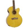 Epiphone Joan Sebastian Sonador elektricko-akustick kytara