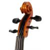 Paesold PA803HV 4/4 skrzypce ″Symphonia″ s pouzdrem Paesold PA803HV 4/4 skrzypce ″Symphonia″ s pouzdrem