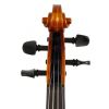 Paesold PA803HV 4/4 skrzypce ″Symphonia″ s pouzdrem Paesold PA803HV 4/4 skrzypce ″Symphonia″ s pouzdrem