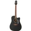 Takamine EG321C elektricko-akustick kytara