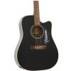 Takamine EG321C elektricko-akustick kytara
