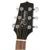 Takamine EG321C elektricko-akustick kytara