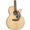 Takamine EG440SC NEX elektricko-akustick kytara