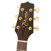 Takamine EG440SC NEX elektricko-akustick kytara