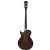 Ibanez AGB200 TBR basov� kytara