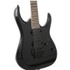 Ibanez RGD320Z BK elektrick kytara
