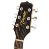 Takamine EG523SC jumbo elektricko-akustick kytara