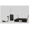 Shure Beta Wireless Rack-mount Instrument System with Beta 98H/C Clip-on Gooseneck Microphone