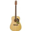 Washburn D10S akustick kytara