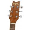 Washburn D10S akustick kytara