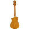 Washburn U50 LCE N