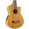 Washburn U50 LCE N
