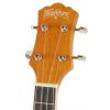 Washburn U50 LCE N