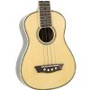 Washburn U30 N
