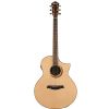 Ibanez AEW 21 VK NT elektricko-akustick kytara