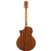 Ibanez AEW 21 VK NT elektricko-akustick kytara
