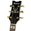 Ibanez AR 325 DBS dark brown sundburst elektrick kytara