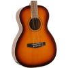 Ibanez PN 15 BS akustick kytara