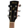 Ibanez PN 15 BS akustick kytara