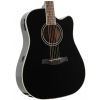 Ibanez LE 300 BK elektricko-akustick kytara