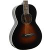 Ibanez AVN 1 BS akustick� kytara