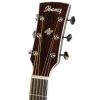 Ibanez AVN 1 BS akustick� kytara