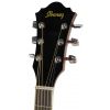 Ibanez SGT 120E ATN akustick� kytara