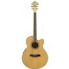 Ibanez AEL 20 E NT elektricko-akustick kytara