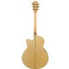 Ibanez AEL 20 E NT elektricko-akustick kytara