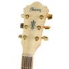 Ibanez AEL 20 E NT elektricko-akustick kytara