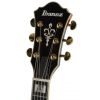 Ibanez AS 153 AYS Artstar elektrick kytara